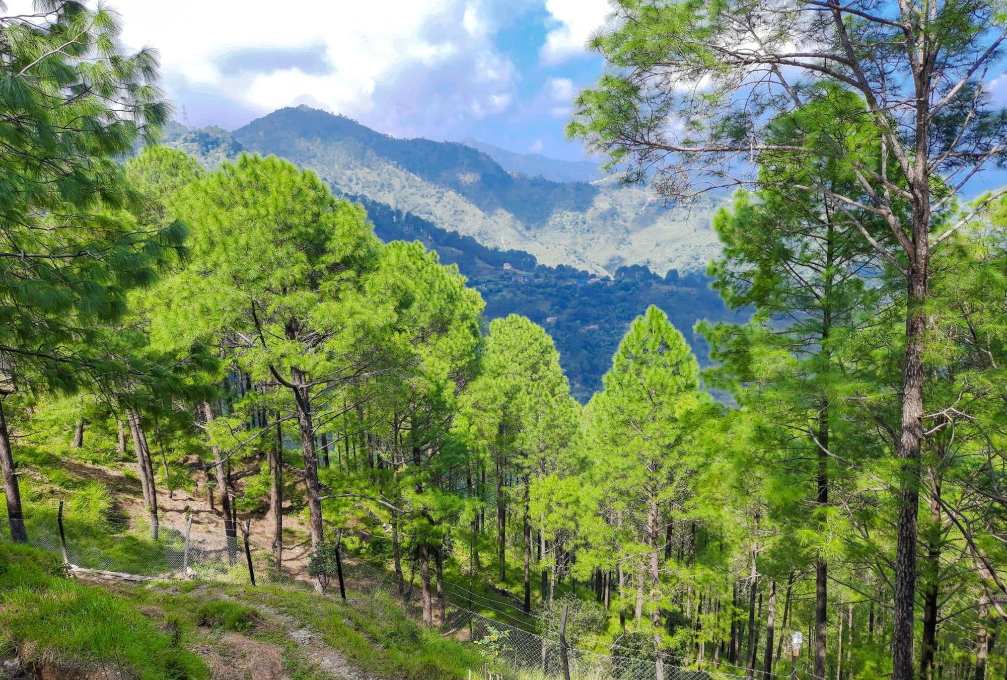 The Woods Retreat Hotel Lansdowne Luaran gambar