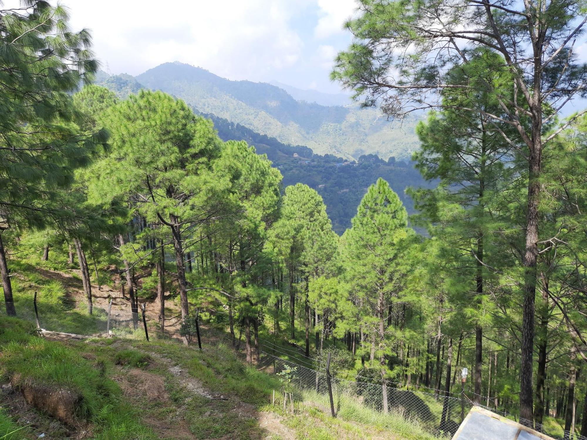 The Woods Retreat Hotel Lansdowne Luaran gambar